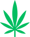 CBD Products